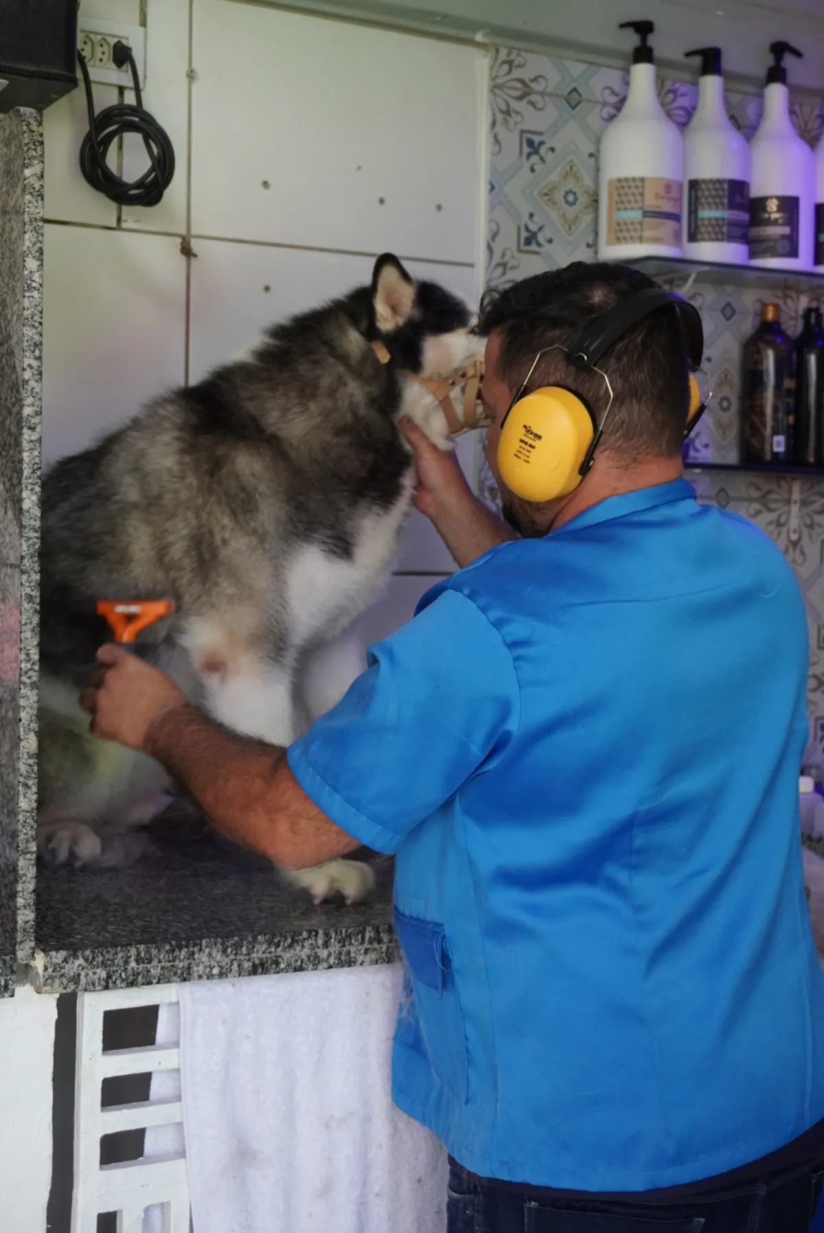 Profissional cuidando de um cão